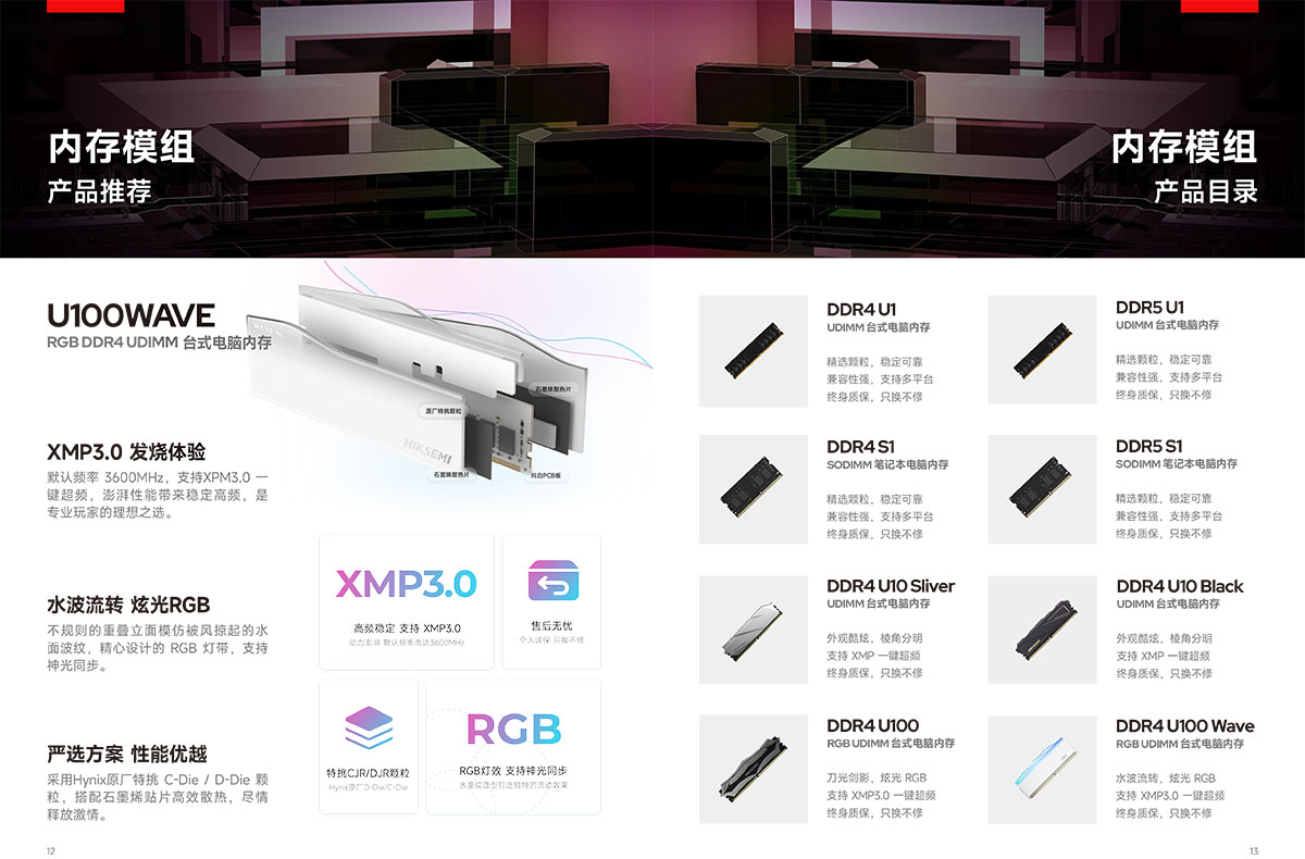 内存模组.jpg